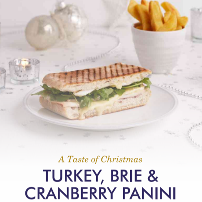 Turkey, Brie & Cranberry Panini