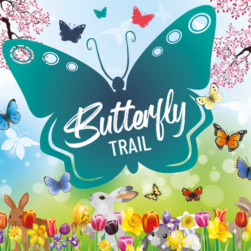 Butterfly Trail