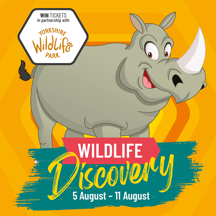 LV Summer Wildlife 24 WebEvent Graphic YWP Workshop Rhino