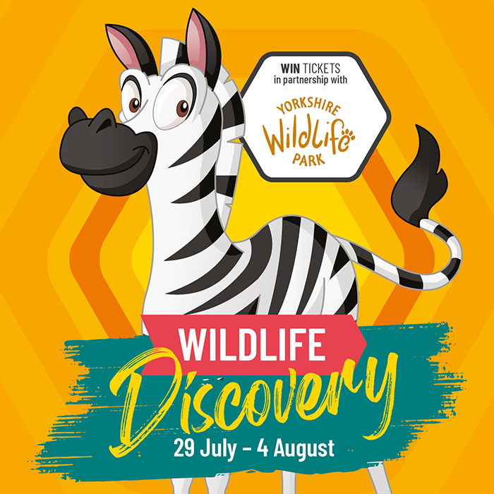 LV Summer Wildlife 24 WebEvent Graphic YWP Workshop Zebra