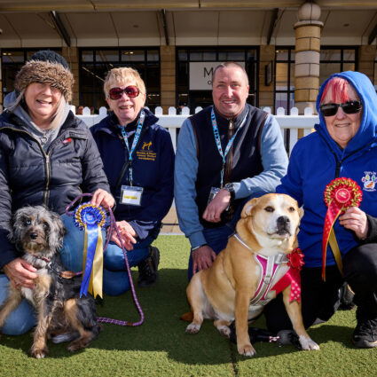 Paws for Fun Day delights dog lovers at Lakeside Village